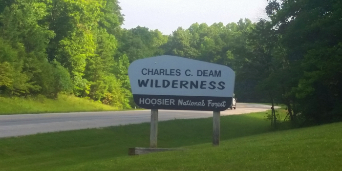 Analysis Finds Expanding Hoosier Forest Could Net $235M Yearly Benefits